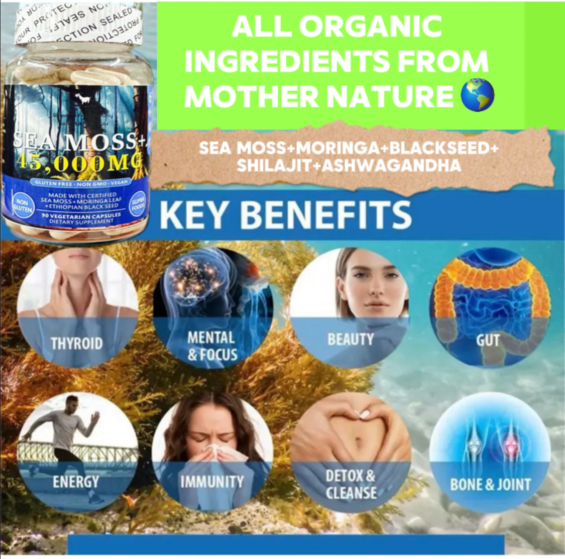 Sea Moss Plus (Spelling Misprint = Bargain - Buy 1 get 2 FREE)